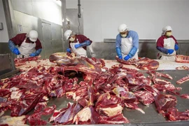 Mỹ: Phát hiện đường dây trộm cắp thịt bò đông lạnh trị giá 9 triệu USD