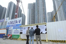 Người mua nhà xem các quảng cáo bán nhà, căn hộ chung cư trên địa bàn Thủ đô. (Ảnh Mạnh Khánh/TTXVN)