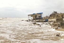Nhiều làng ven biển ở Thừa Thiên-Huế bị xóa sổ do nạn xâm thực. (Ảnh: Tường Vi/TTXVN)