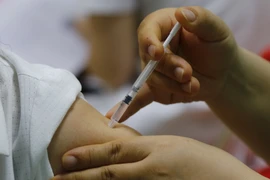 Ảnh minh họa. (Nguồn: Nam Sương/TTXVN)