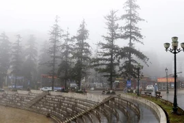 Rét hại tại Sa Pa. (Ảnh: Quốc Khánh/TTXVN)