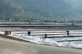 Sản xuất muối và phát triển công nghiệp sau muối ở khu vực phía Nam của tỉnh đang được tỉnh Ninh Thuận tập trung thu hút đầu tư. (Ảnh: Công Thử/TTXVN)