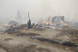 Cảnh tàn phá sau vụ cháy rừng tại Krasnoyarsk, vùng Siberia của Nga ngày 7/5/2022. (Ảnh: AFP/TTXVN)
