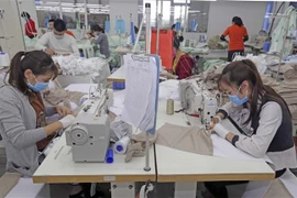 May hàng xuất khẩu tại Công ty TNHH Hưng Việt, Mỹ Hào, Hưng Yên. (Ảnh: Trần Việt/TTXVN)