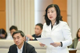 Bộ trưởng Bộ Y tế Đào Hồng Lan phát biểu. (Ảnh: Doãn Tấn/TTXVN)