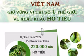 Việt Nam giữ vững vị trí số 1 thế giới về xuất khẩu hồ tiêu