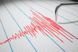 Ảnh minh họa. (Nguồn: thesundaily.my)