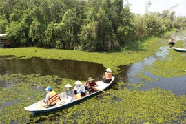 Du lịch sông nước là một sản phẩm đặc trưng được ưa chuộng tại Long An. (Ảnh: Đức Hạnh/TTXVN)