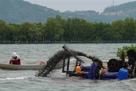  Một máy bơm hút cát dùng để khai thác phễnh trên đầm Thị Nại (Tuy Phước, Bình Định). (Ảnh: Tường Quân/TTXVN)