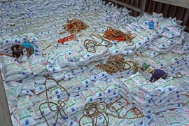 Vận chuyển phân bón của Đạm Phú Mỹ (thuộc PVFCCo) đi tiêu thụ. (Ảnh: Huy Hùng/TTXVN)