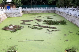 Hiện trường vụ đuối nước khiến hai cháu nhỏ tử vong. (Ảnh: Đinh Văn Nhiều/TTXVN)