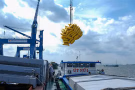 Bốc dỡ hàng hóa tại cảng Tân Cảng Cái Cui, thành phố Cần Thơ. (Ảnh: Thanh Liêm/TTXVN)