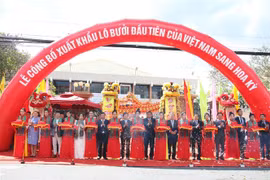 Lễ cắt băng công bố xuất khẩu lô bưởi đầu tiên của Việt Nam sang Hoa Kỳ. (Ảnh: Công Trí/TTXVN)
