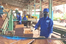 (Ảnh minh họa: Thanh Vân/TTXVN)