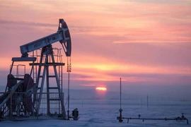 Một giàn khoan dầu tại khu vực Almetyevsk, Nga. (Ảnh: TASS/TTXVN)