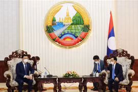 Tổng Bí thư - Chủ tịch nước Lào Thongloun Sisulith tiếp Bí thư Thành ủy Hà Nội Đinh Tiến Dũng. (Ảnh: Phạm Kiên/TTXVN)