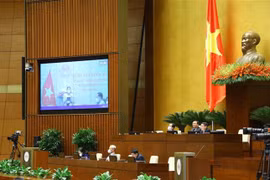 Đại biểu Quốc hội phát biểu trực tuyến. (Ảnh: Văn Điệp/TTXVN)