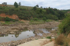 Sông Đăk Psi đoạn dưới chân đập thủy điện Đăk Psi 5 khô khốc vào mùa khô. (Ảnh: Dư Toán/TTXVN)