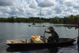 Ông Nguyễn Văn Thắng, ở xã Suối Rao, huyện Châu Đức có 2ha nuôi cá nước ngọt có nguy cơ thua lỗ nặng nề. (Ảnh: Hoàng Nhị/TTXVN)