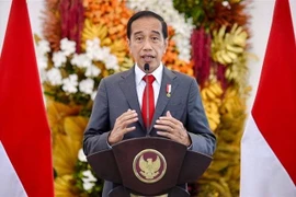 Tổng thống Indonesia Joko Widodo. (Ảnh: AFP/TTXVN)