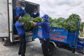 Thanh niên tình nguyện giúp dân mùa dịch. (Ảnh: Đức Hạnh/TTXVN)