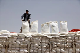 Các bao bột mỳ của Chương trình Lương thực Thế giới (WFP) được chuyển tới cảng Hodeidah, để phân phát cho người dân Yemen. (Ảnh: THX/TTXVN)