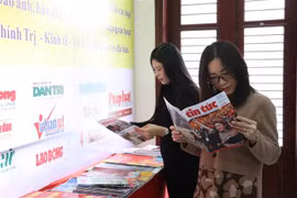 (Ảnh minh họa: Đinh Tuấn/TTXVN)