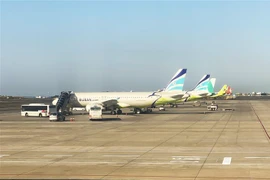 Máy bay của hãng hàng không Busan (Hàn Quốc) đang trả khách tại Sân bay Quốc tế Jeju. (Ảnh: Anh Nguyên/TTXVN)