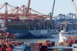 Container hàng hóa được bốc dỡ tại cảng Busan, Hàn Quốc. (Ảnh: Yonhap/TTXVN)