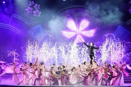 Chương trình nghệ thuật tại Lễ khai mạc. (Ảnh: Xuân Tư/TTXVN)