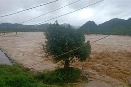 Đến trưa 29/9, mực nước sông Giăng đoạn qua huyện Con Cuông, Nghệ An, vẫn đang dâng cao, kéo theo nhiều nguy cơ lũ quét, sạt lở 2 bên bờ sông. (Ảnh : TTXVN phát)