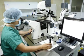 Chuyên viên phôi thực hiện kỹ thuật hỗ trợ thoát màng chuẩn bị cho việc thụ tinh trong ống nghiệm. (Ảnh: Dương Ngọc/TTXVN)