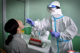 Nhân viên y tế lấy mẫu xét nghiệm COVID-19 cho người dân tại Bình Nhưỡng, Triều Tiên, ngày 10/6/2022. (Ảnh: AFP/TTXVN)