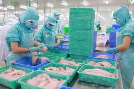 Chế biến cá tra xuất khẩu. (Ảnh: Vũ Sinh/TTXVN)