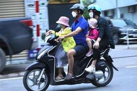 Ảnh minh họa. (Nguồn: TTXVN)