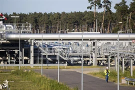 Đường ống dẫn khí đốt của dự án Dòng chảy phương Bắc 2 tại Lubmin, đông bắc nước Đức, ngày 7/9/2020. (Ảnh: AFP/TTXVN)