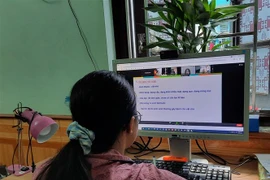 Ảnh minh họa. (Nguồn: TTXVN)