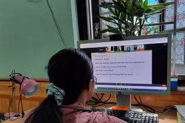 Ảnh minh họa. (Nguồn: TTXVN)