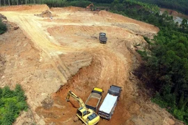 Đất rừng sản xuất trồng bạch đàn tại xã Vạn Xuân (huyện Tam Nông) đang bị Công ty Đức Trí khai thác rầm rộ. (Ảnh: baoxaydung.com.vn)