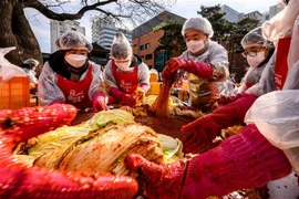 Người dân làm kim chi tại Seoul, Hàn Quốc. (Ảnh: AFP/TTXVN)