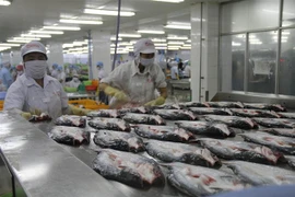 Chế biến cá da trơn xuất khẩu ở Công ty Cổ phần Gò Đàng, Khu Công nghiệp Mỹ Tho, Tiền Giang. (Ảnh: Minh Trí/TTXVN)