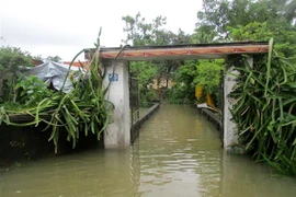 Thôn Vạn Thọ, xã vạn Hòa, huyện Nông Cống, Thanh Hóa bị ngập trong nước lũ. (Ảnh: Nguyễn Nam/TTXVN)
