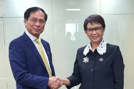Bộ trưởng Ngoại giao Việt Nam Bùi Thanh Sơn gặp Bộ trưởng Ngoại giao Indonesia Retno Marsudi. (Ảnh: Huy Lê/TTXVN)