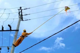 Nhân viên điện lực đang xử lý diều bị vướng vào đường dây điện gây sự cố. (Ảnh: TTXVN phát)
