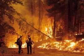 Cháy rừng dữ dội tại cộng đồng Prattville ở hạt Plumas, California (Mỹ) ngày 23/7/2021. (Ảnh: AFP/TTXVN)