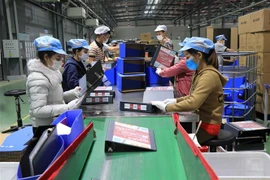Công nhân lao động làm việc tại Công ty TNHH Deli Việt Nam, Khu công nghiệp Yên Phong, tỉnh Bắc Ninh. (Ảnh: Thanh Thương/TTXVN)