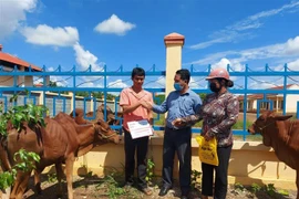 Trao giống vật nuôi cho hộ dân tộc thiểu số nghèo huyện biên giới Bù Gia Mập,Bình Phước phát triển kinh tế. (Ảnh: K GỬIH/TTXVN)