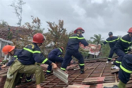 Lực lượng chức năng hỗ trợ người dân tại Thừa Thiên-Huế lợp lại mái nhà sau bão số 4. (Ảnh: Tường Vi/TTXVN)