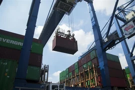 Hoạt động bốc dỡ hàng hóa tại Cảng Cát Lái, thành phố Thủ Đức, Tp. Hồ Chí Minh. (Ảnh: Hồng Đạt/TTXVN)