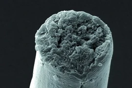 Hình phóng to một sợi tơ. Ảnh minh họa. (Nguồn: scientificamerican.com)
